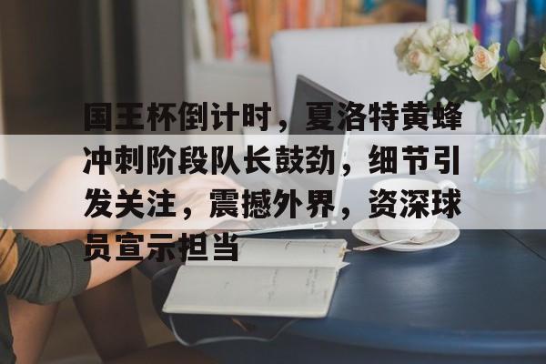 九游电脑版修改-国王杯倒计时，夏洛特黄蜂冲刺阶段队长鼓劲，细节引发关注，震撼外界，资深球员宣示担当的简单介绍