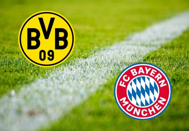 公务员处分条例全文 公务员处分条例全文